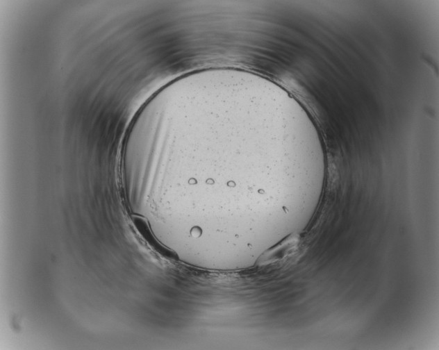 X0000102351052200808221649