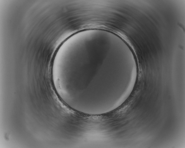 X0000102351053200808221649