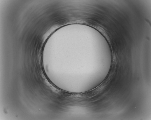 X0000102351054200808221649