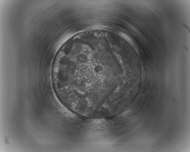 X0000102351055200808221649