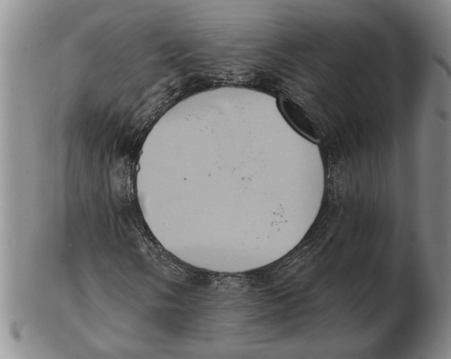 X0000102351058200808221649