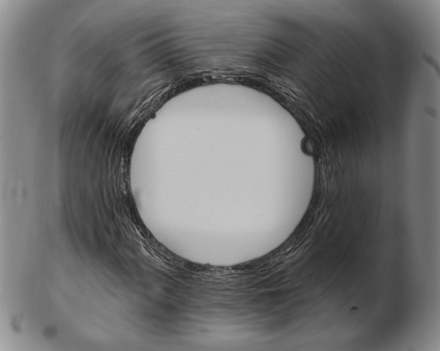 X0000102351060200808221649