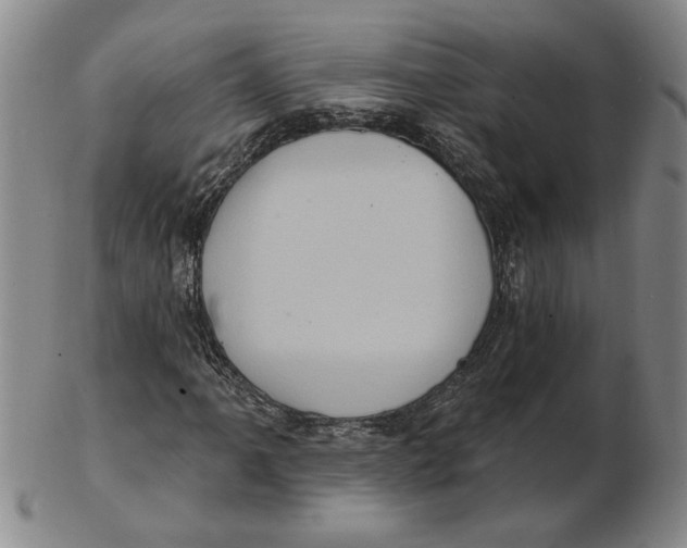 X0000102351061200808221649