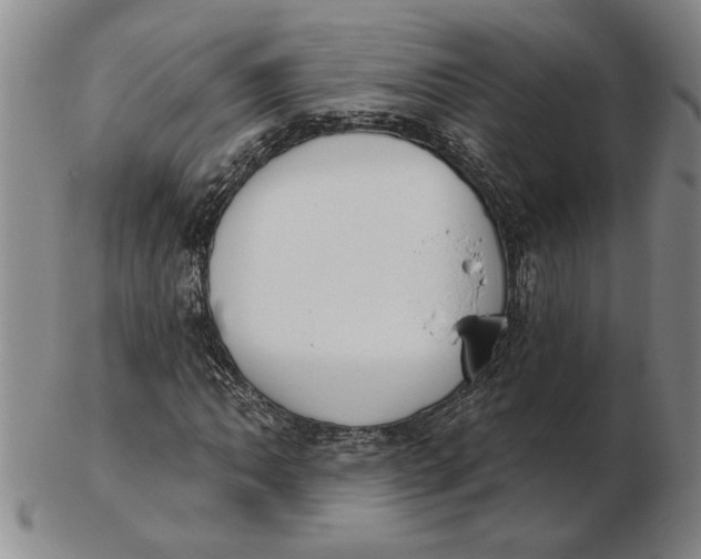 X0000102351062200808221649