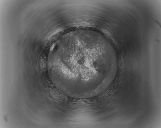 X0000102351063200808221649