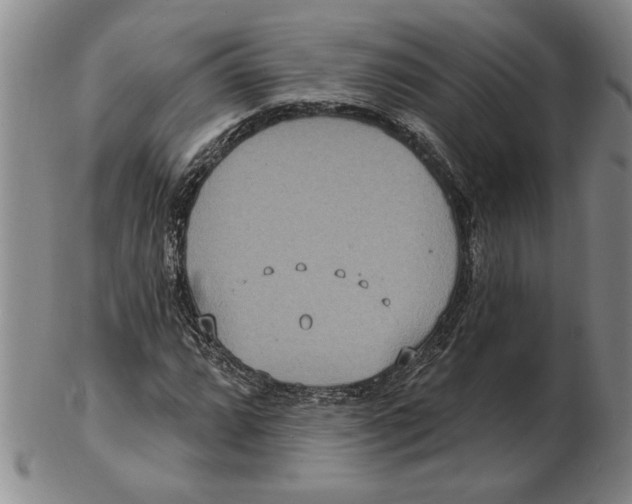 X0000102351064200808221649