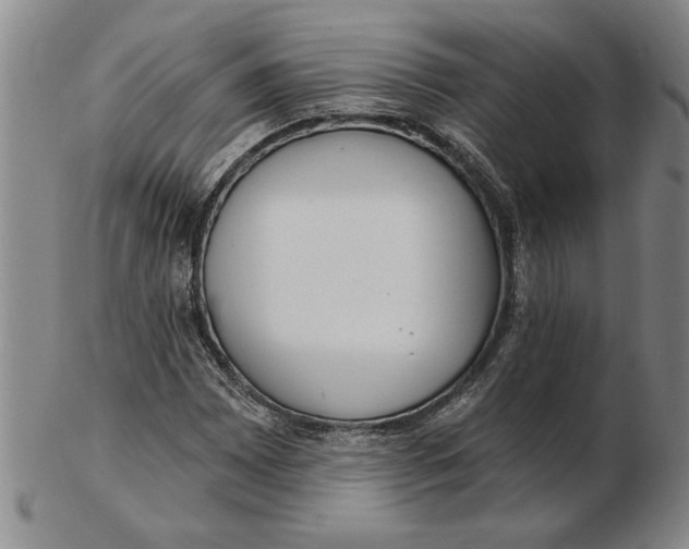 X0000102351065200808221649