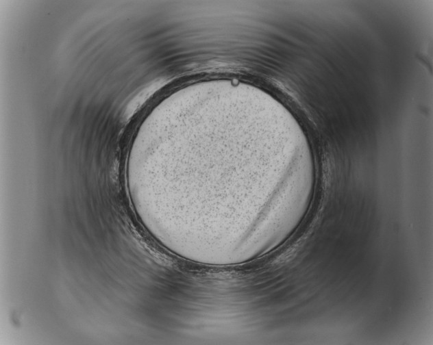 X0000102351066200808221649