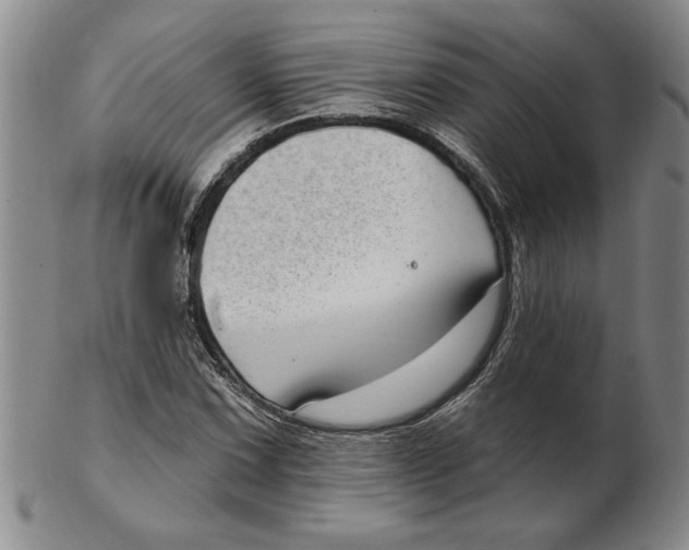 X0000102351067200808221649