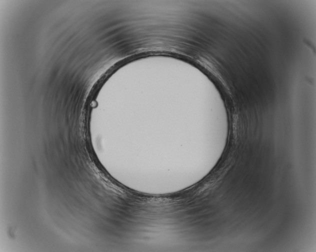 X0000102351068200808221649