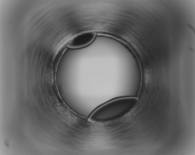 X0000102351069200808221648