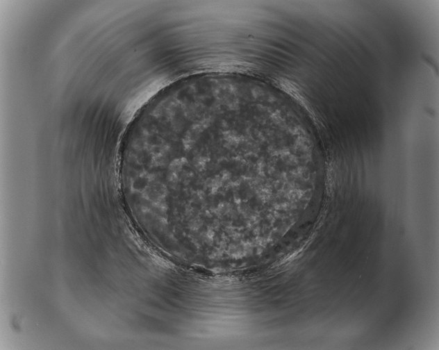 X0000102351071200808221648