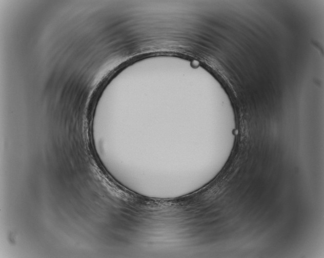 X0000102351072200808221648