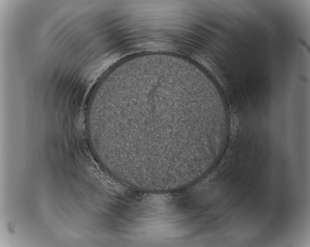 X0000102351074200808221648