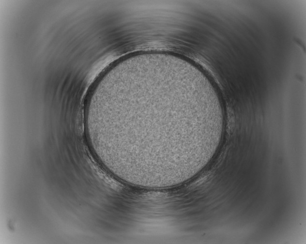 X0000102351075200808221648