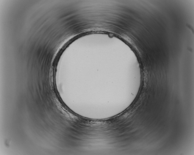 X0000102351076200808221648