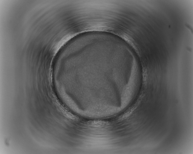 X0000102351077200808221648