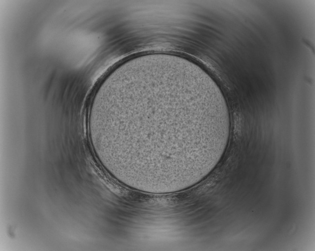 X0000102351078200808221648