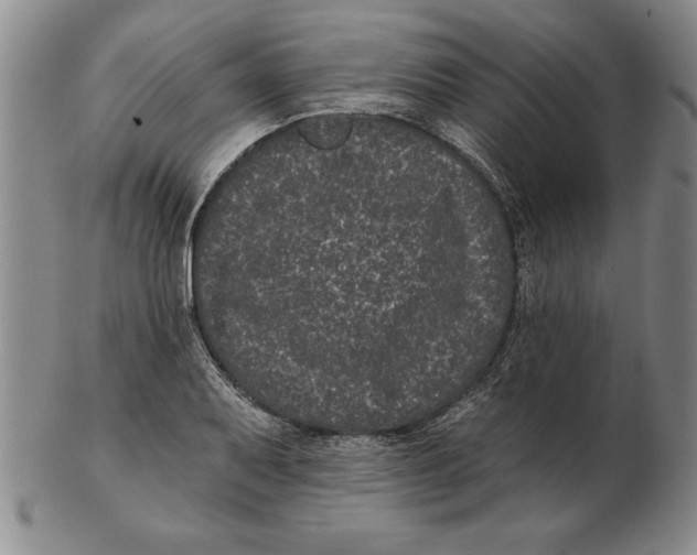 X0000102351079200808221648