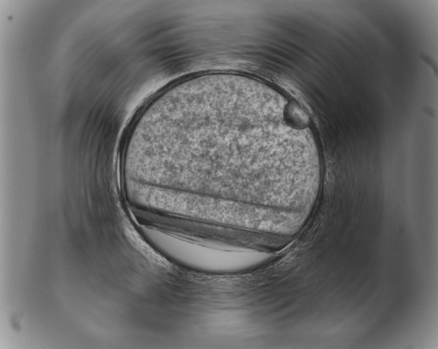 X0000102351080200808221648