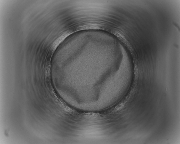 X0000102351081200808221648