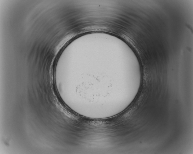 X0000102351082200808221648