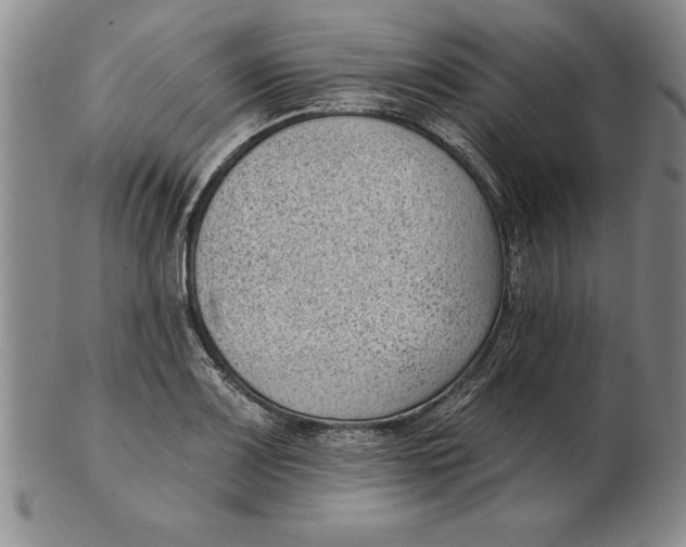 X0000102351083200808221648