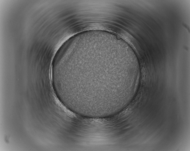 X0000102351084200808221648