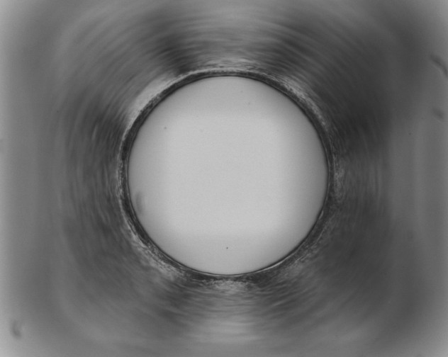 X0000102351085200808221648