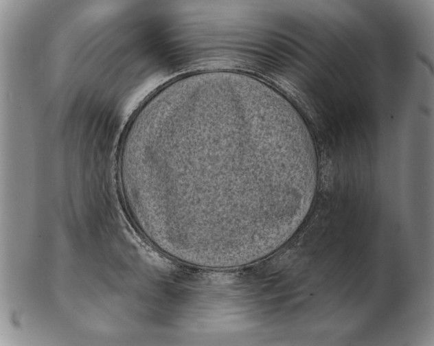 X0000102351086200808221648