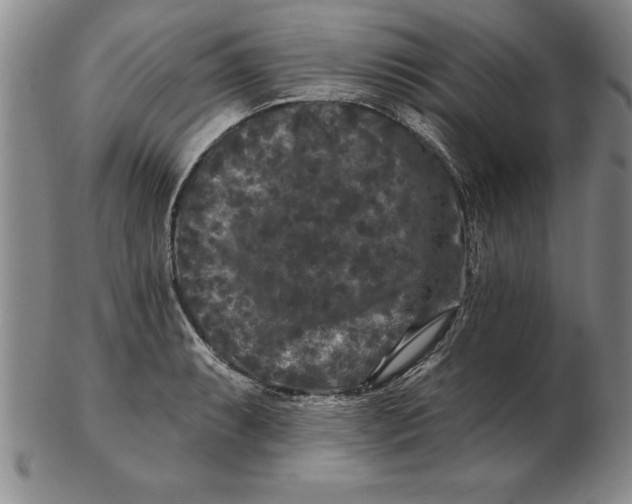 X0000102351087200808221648