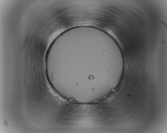 X0000102351088200808221648