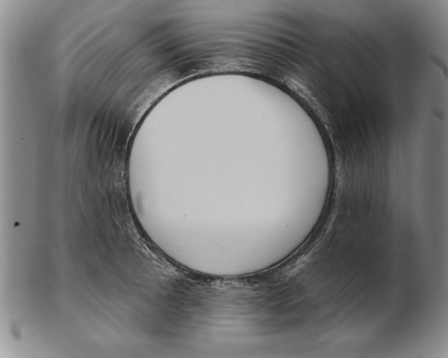 X0000102351089200808221648