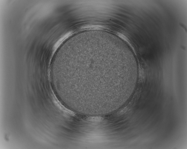 X0000102351090200808221648