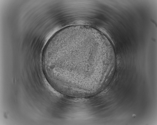 X0000102351091200808221648