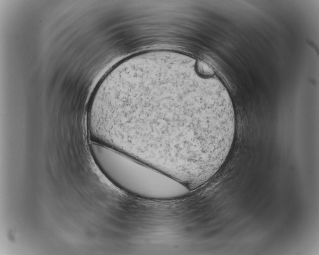 X0000102351092200808221648