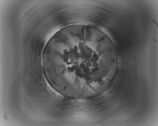 X0000102351095200808221648