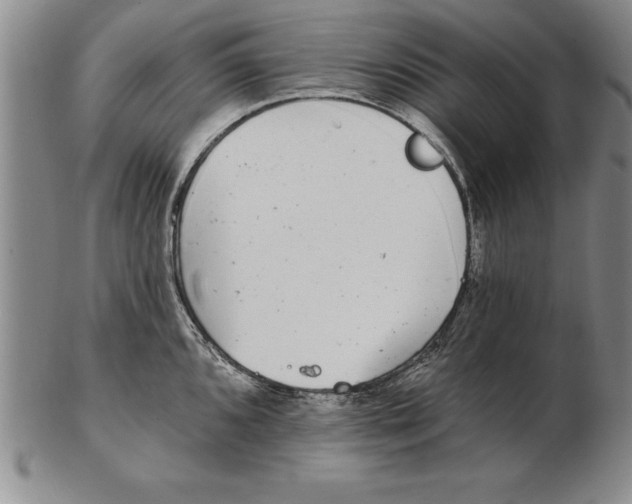 X0000102351096200808221648