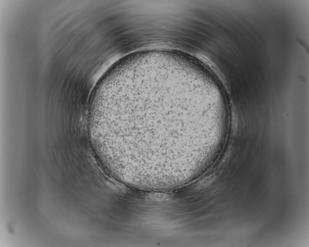 X0000102351097200808221648