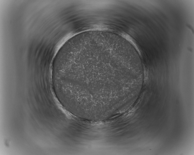 X0000102351099200808221648