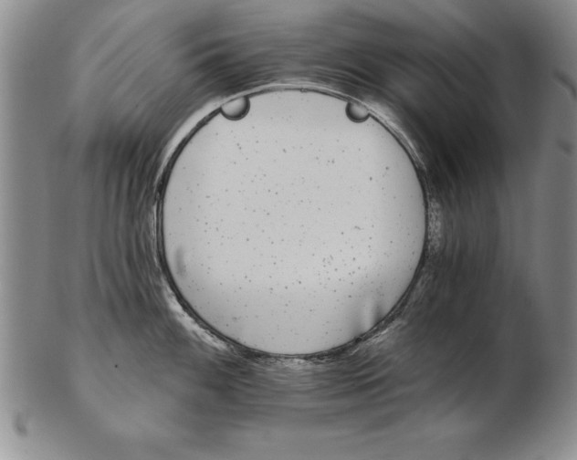 X0000102351100200808221648