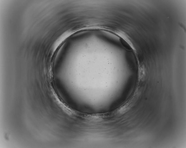 X0000102351101200808221648