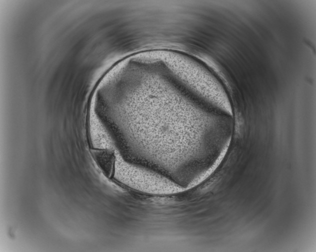 X0000102351102200808221648