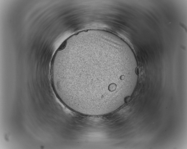 X0000102351103200808221648