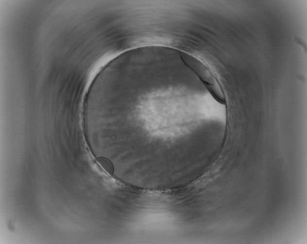 X0000102351104200808221648