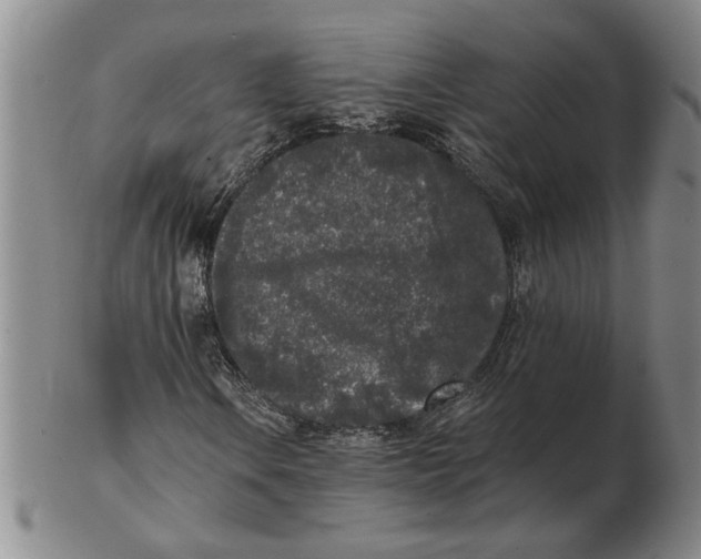 X0000102351106200808221647