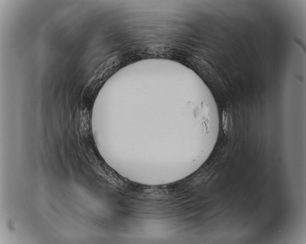 X0000102351107200808221647