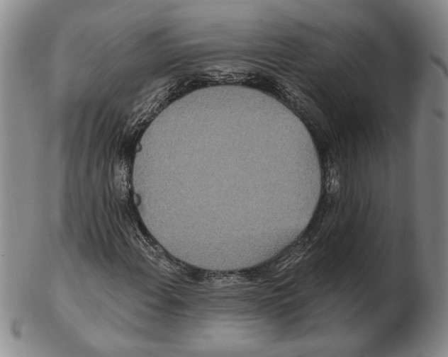 X0000102351108200808221647