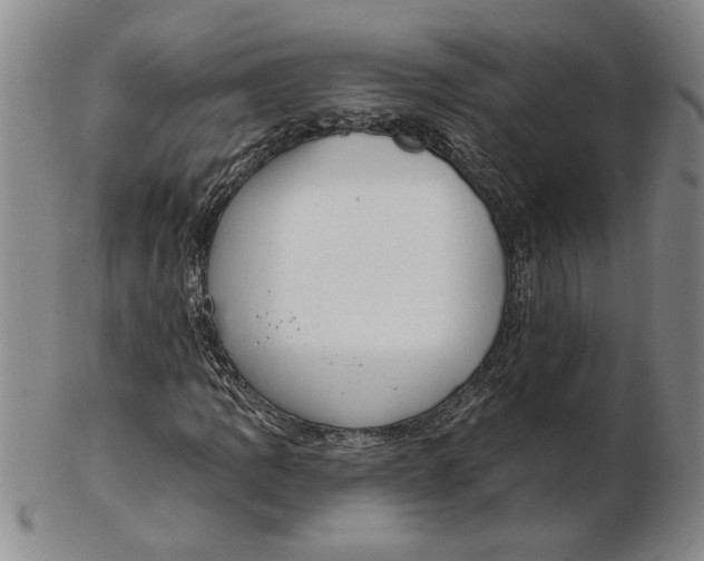 X0000102351109200808221647