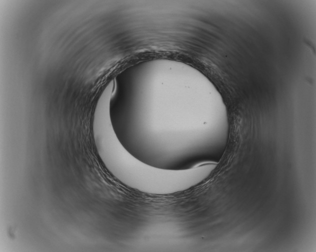 X0000102351110200808221647